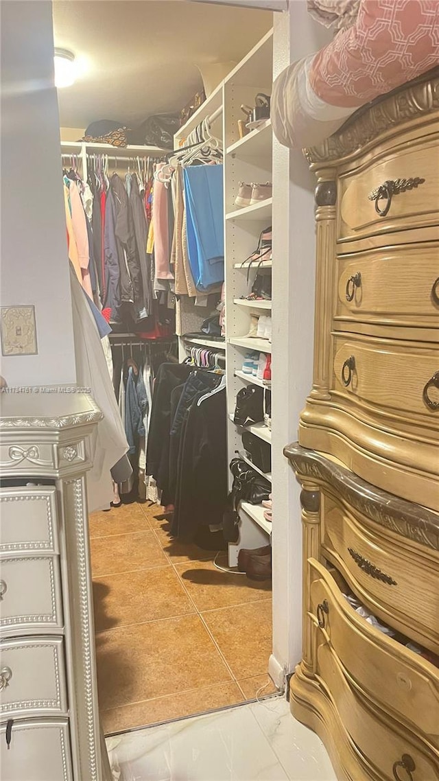 view of walk in closet