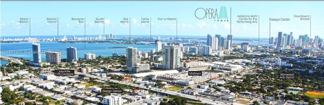 1750 N Bayshore Dr Unit 1120, Miami, FL 33132 - property's view of city with a water view