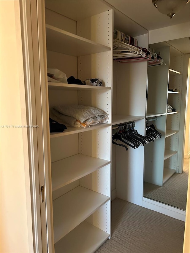 1627 Brickell Ave Unit 2005, Miami, FL 33129 - view of spacious closet