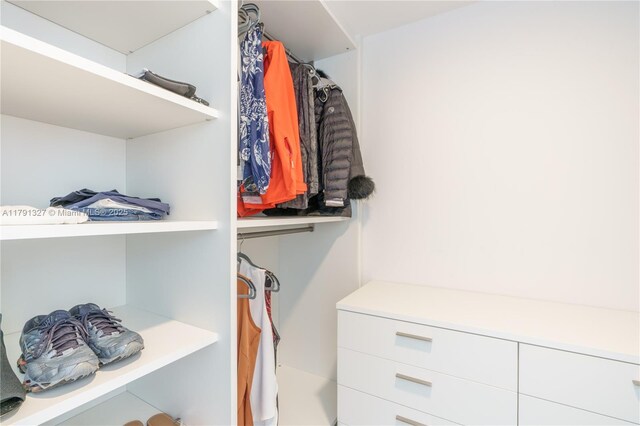 view of spacious closet