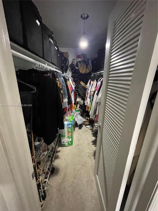 9520 SW 8th St Unit 211, Miami, FL 33174 - view of spacious closet