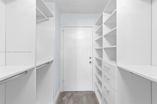 walk in closet featuring carpet