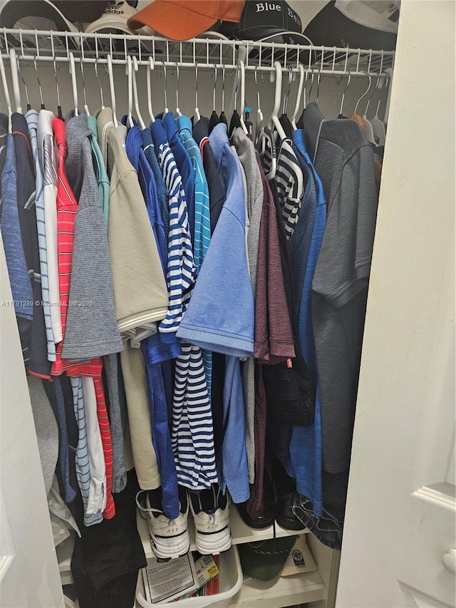 view of closet