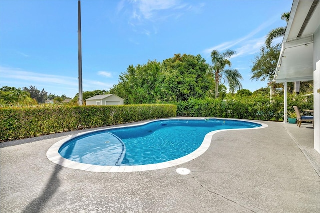 view of swimming pool featuring a patio and a fenced in pool