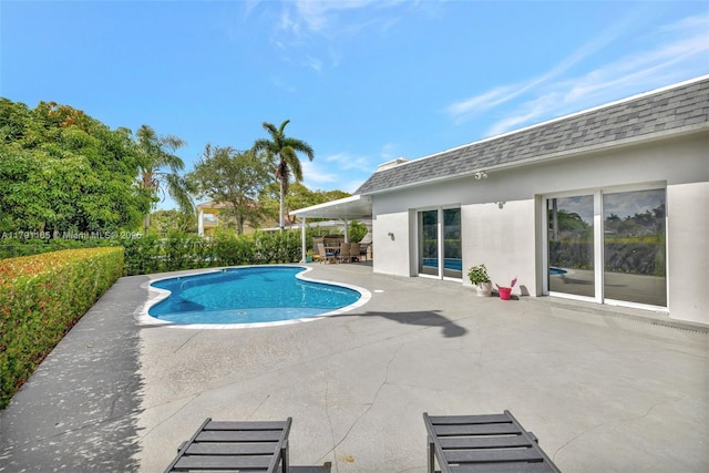 view of pool featuring a patio and a fenced in pool