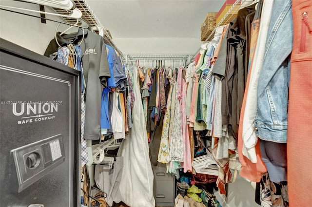 view of walk in closet