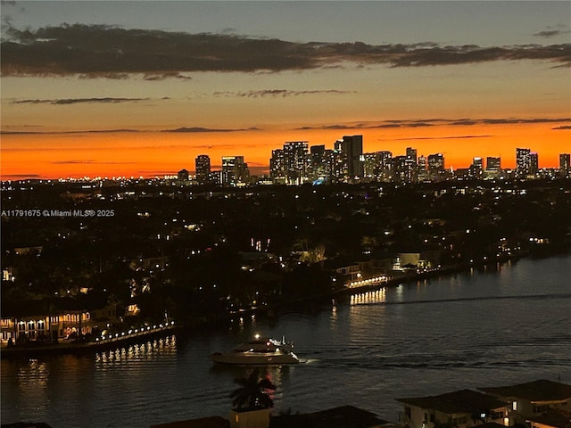 property view of water featuring a city view