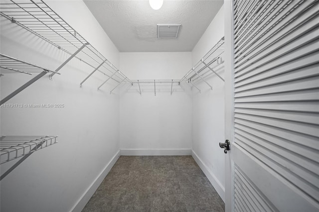 spacious closet featuring visible vents and carpet floors
