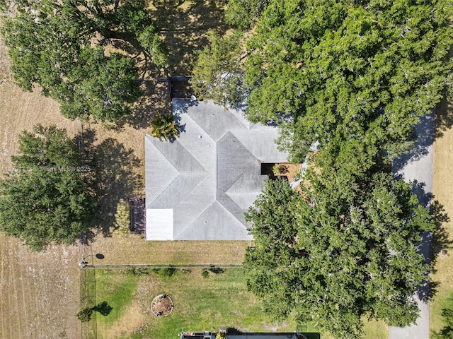 bird's eye view