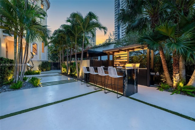 view of patio featuring exterior kitchen