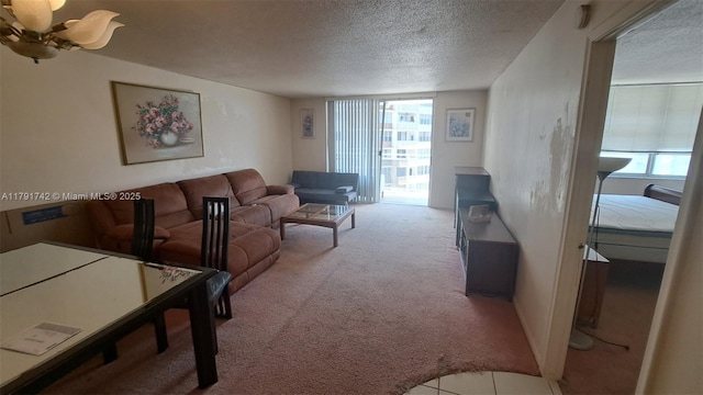 1801 S Ocean Dr Unit 842, Hallandale Beach, FL 33009 - carpeted living area with a textured ceiling and plenty of natural light