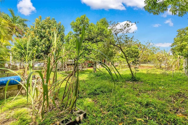 view of landscape