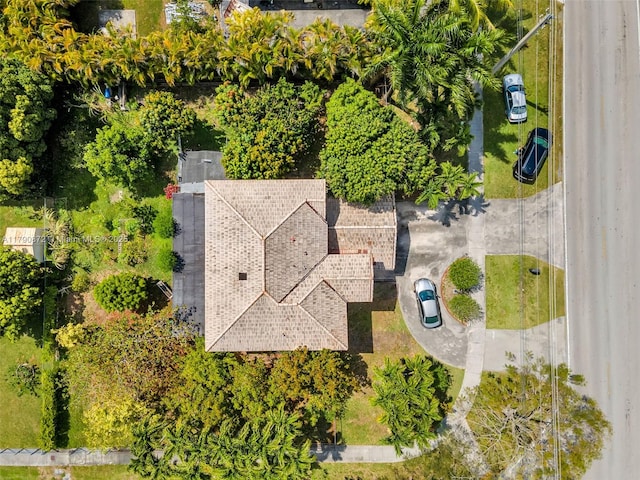 drone / aerial view