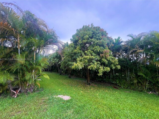 14051 SW 15th Ct, Davie, FL 33325 - view of green lawn