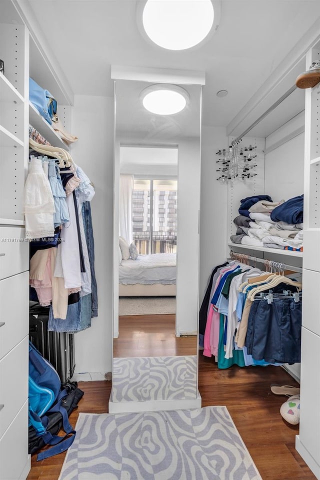 spacious closet with radiator heating unit and wood finished floors