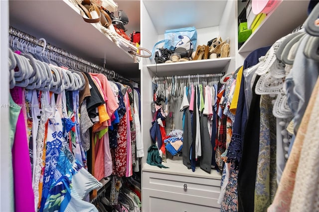 3289 W 106th Ter, Hialeah, FL 33018 - view of spacious closet