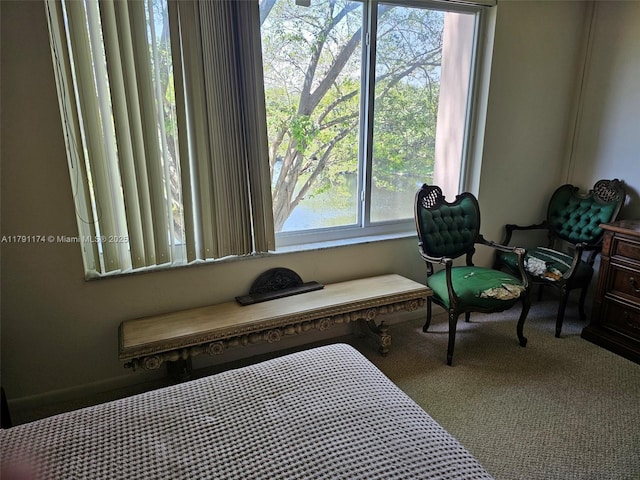 1103 NW 58th Ter Unit 321, Sunrise, FL 33313 - living area with carpet floors