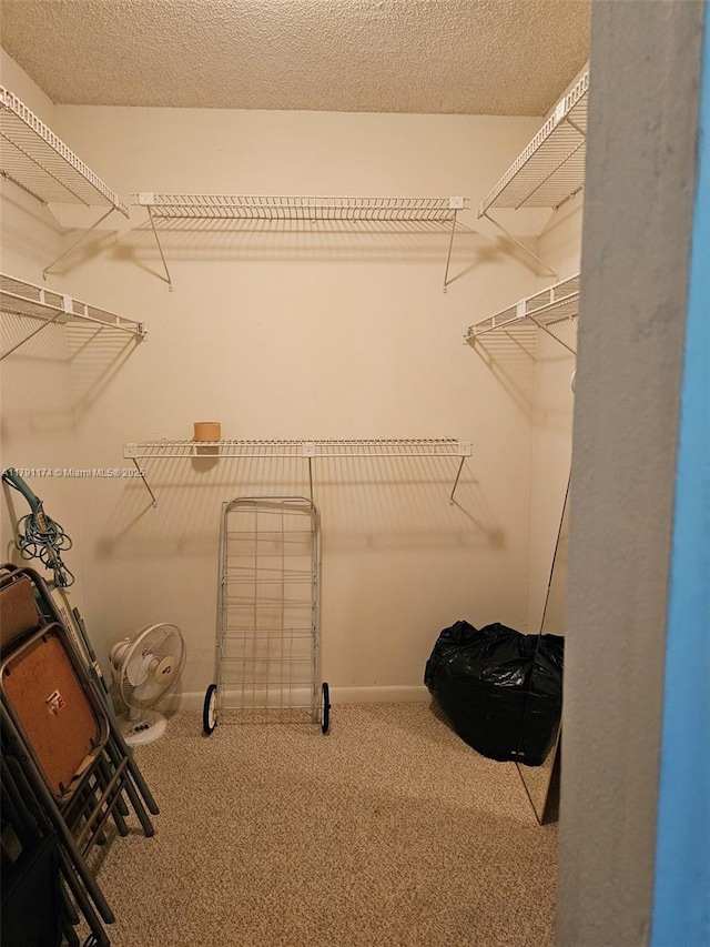 1103 NW 58th Ter Unit 321, Sunrise, FL 33313 - walk in closet featuring carpet