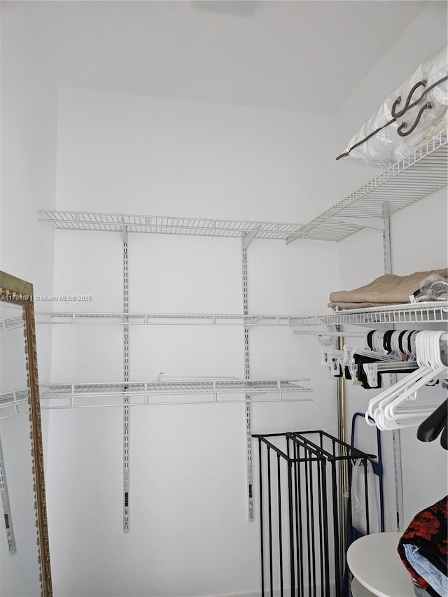 view of spacious closet