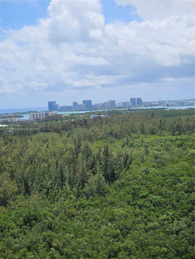 birds eye view of property featuring a view of city and a forest view