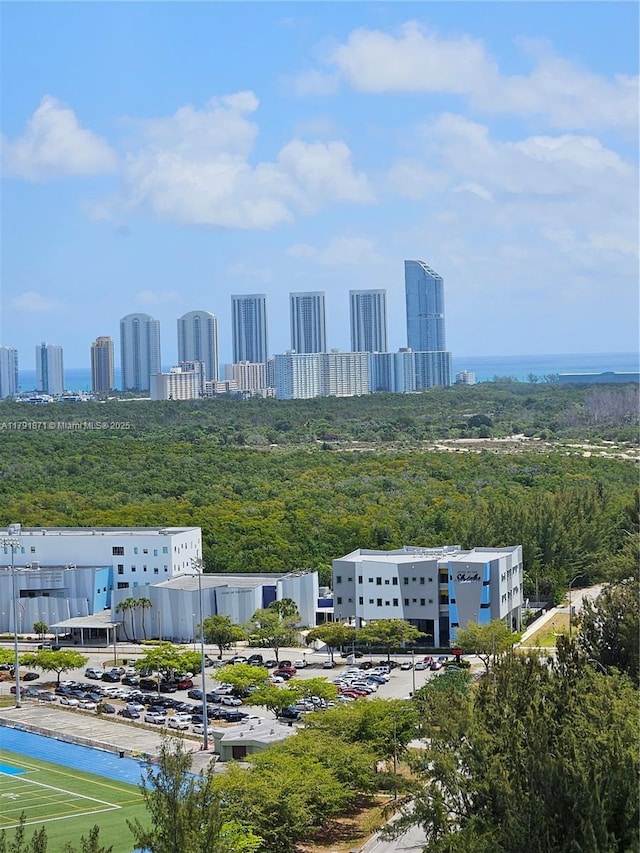 15051 Royal Oaks Ln Unit 2202, North Miami, FL 33181 - aerial view of a skyline view