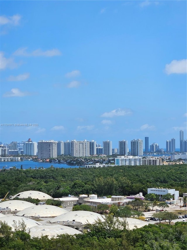 15051 Royal Oaks Ln Unit 2202, North Miami, FL 33181 - city view