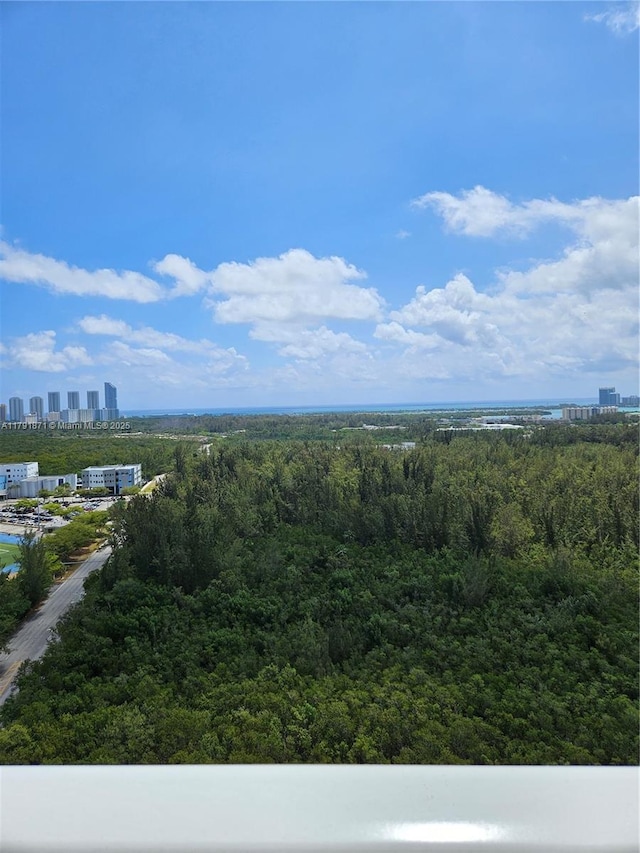 drone / aerial view with a view of city and a wooded view