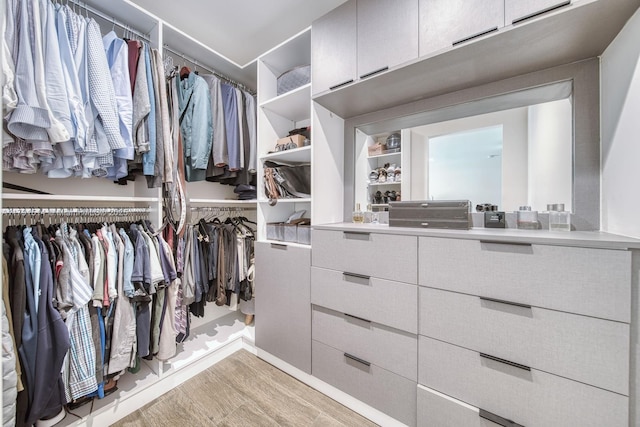 spacious closet with light wood finished floors