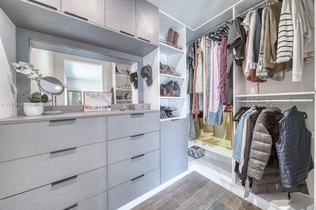 spacious closet with wood finished floors