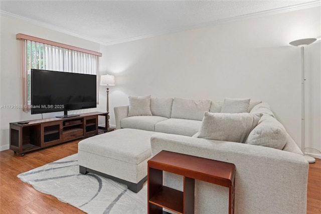 300 SW 130th Ter Unit 203B, Pembroke Pines, FL 33027 - living area featuring ornamental molding, light wood-style floors, and baseboards