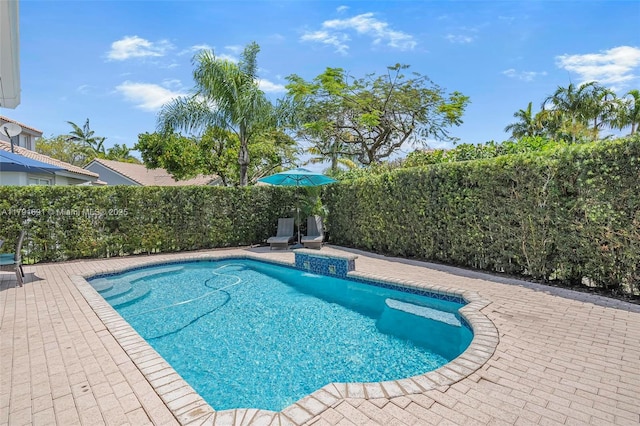 943 Golden Cane Dr, Weston, FL 33327 - view of swimming pool with a fenced backyard, a patio, and a fenced in pool