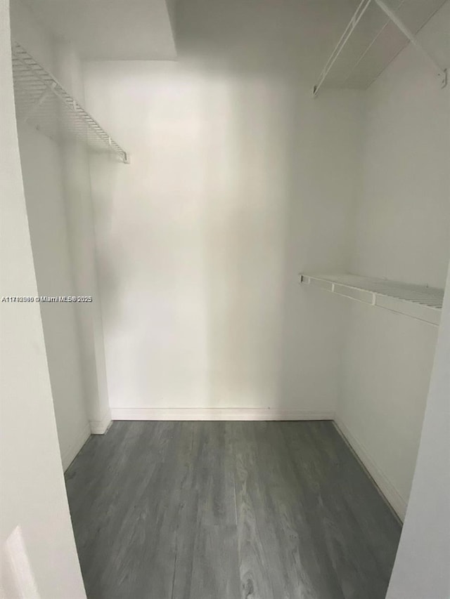 2351 W Preserve Way Unit 205, Miramar, FL 33025 - walk in closet with dark wood-type flooring