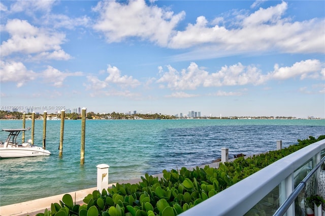 property view of water