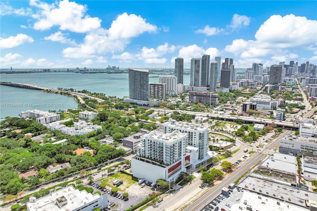 3900 Biscayne Blvd Unit S-920, Miami, FL 33137 - drone / aerial view of a notable bridge, skyline, a nearby body of water, and a highway