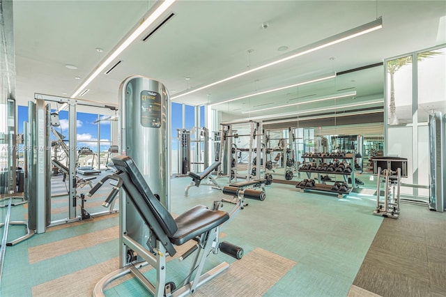 3900 Biscayne Blvd Unit S-920, Miami, FL 33137 - gym with expansive windows