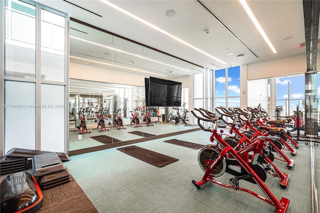 3900 Biscayne Blvd Unit S-920, Miami, FL 33137 - workout area with carpet floors