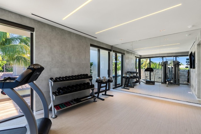 exercise room featuring carpet floors and plenty of natural light