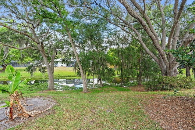 1754 Turtle Rock Dr, Lakeland, FL 33803 - view of yard