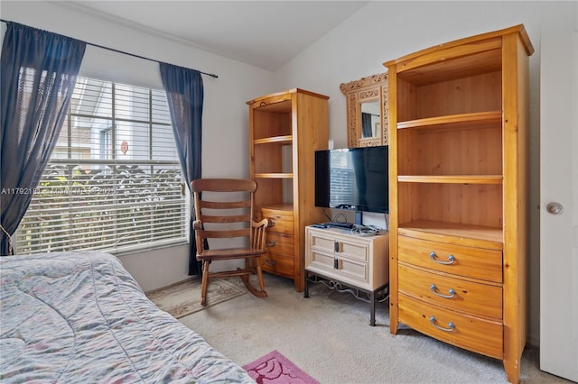 1754 Turtle Rock Dr, Lakeland, FL 33803 - bedroom with light colored carpet