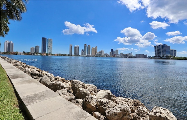 property view of water featuring a view of city