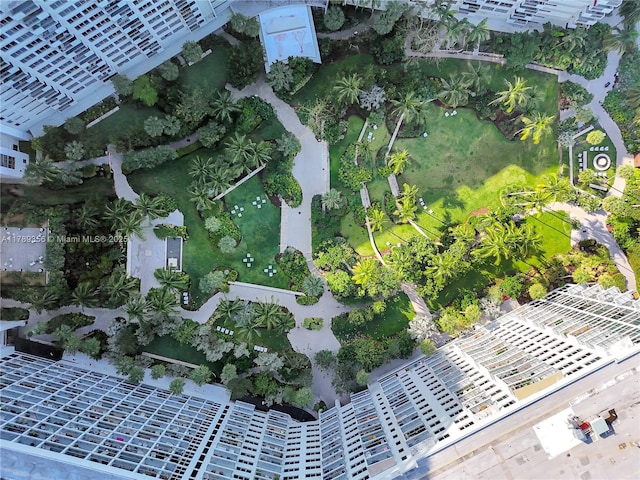aerial view