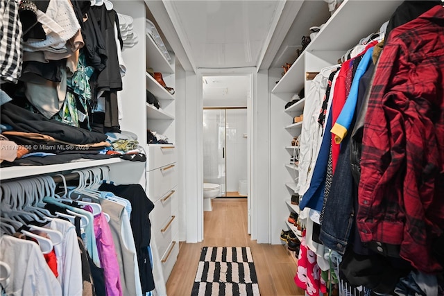 spacious closet featuring light wood finished floors