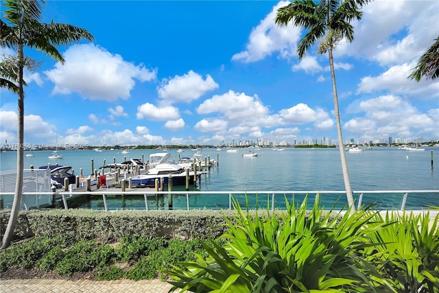 view of dock featuring a water view