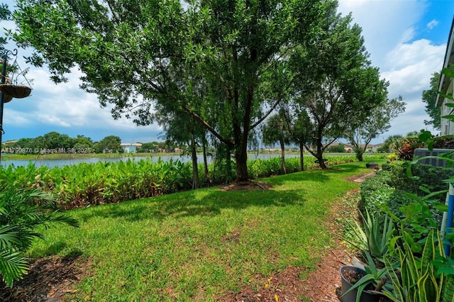 view of yard with a water view