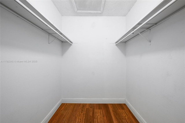 17911 NW 68th Ave Unit P208, Hialeah, FL 33015 - walk in closet with wood finished floors