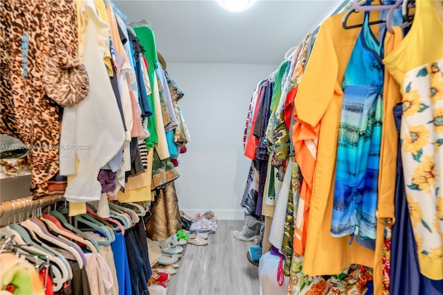 walk in closet with wood finished floors