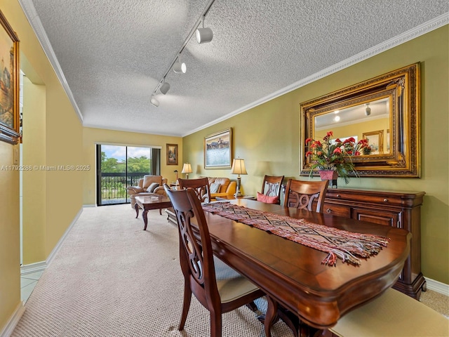 1300 SW 122nd Ave Unit 303-2, Miami, FL 33184 - dining area with rail lighting, a textured ceiling, baseboards, carpet floors, and crown molding