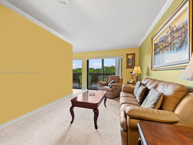 1300 SW 122nd Ave Unit 303-2, Miami, FL 33184 - living area featuring a textured ceiling, crown molding, and carpet floors