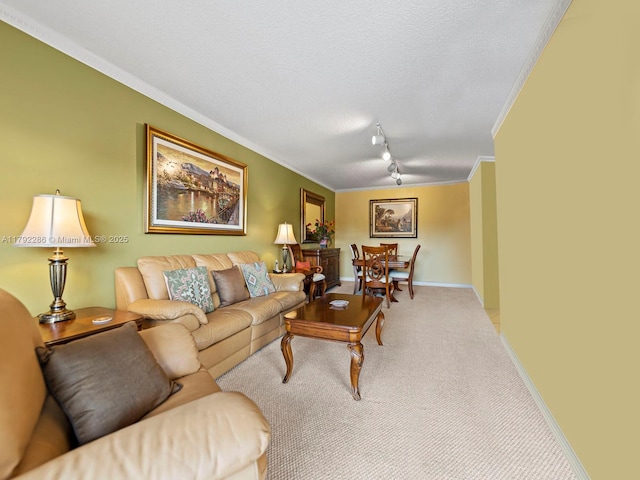 1300 SW 122nd Ave Unit 303-2, Miami, FL 33184 - carpeted living area with a textured ceiling, ornamental molding, baseboards, and track lighting