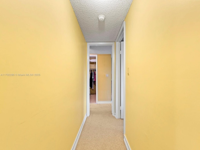 1300 SW 122nd Ave Unit 303-2, Miami, FL 33184 - corridor with light carpet, baseboards, and a textured ceiling